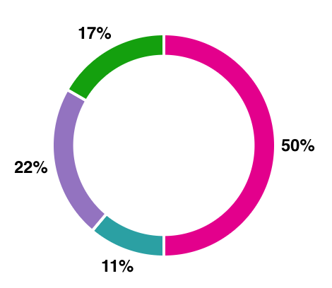 A pie chart with a 50%, 22%, 17% and 11% breakdown.